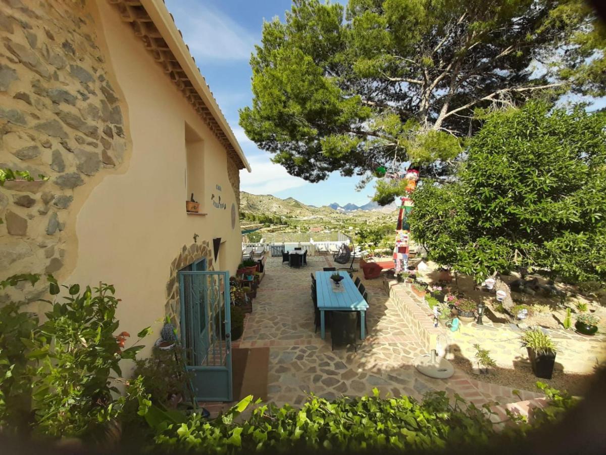 Casa Pura Vida Bed & Breakfast Relleu Luaran gambar