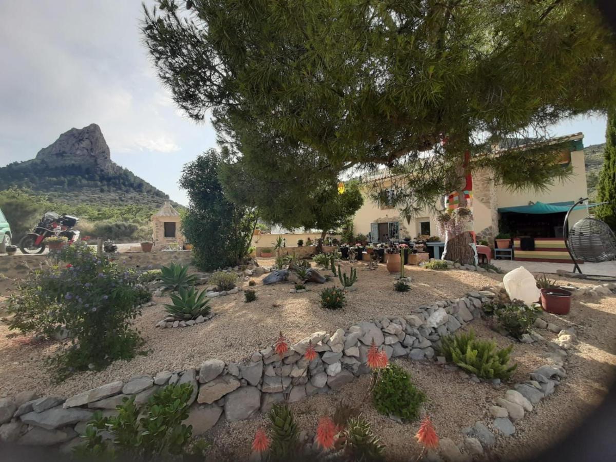 Casa Pura Vida Bed & Breakfast Relleu Luaran gambar