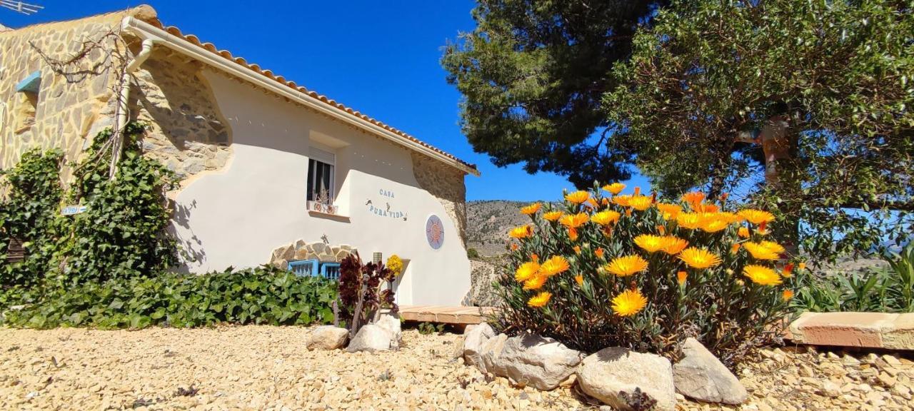 Casa Pura Vida Bed & Breakfast Relleu Luaran gambar