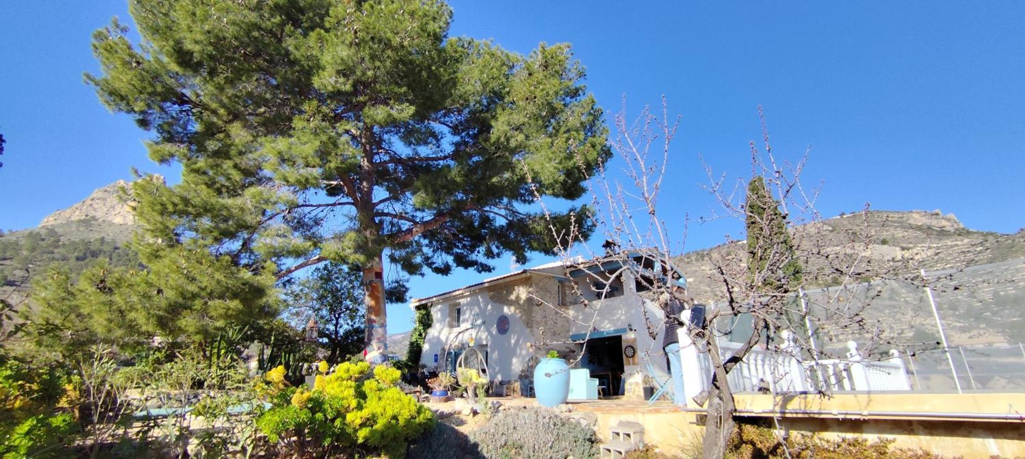 Casa Pura Vida Bed & Breakfast Relleu Luaran gambar